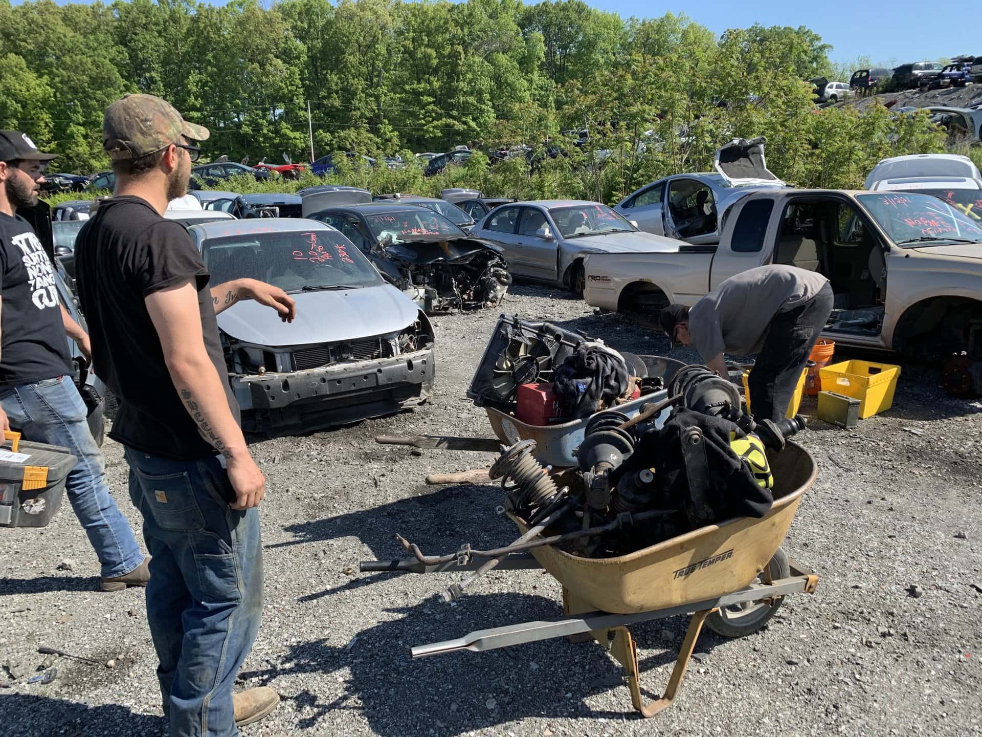 York, PA's All you can carry for 50 Event Eichelberger's UPullIt!